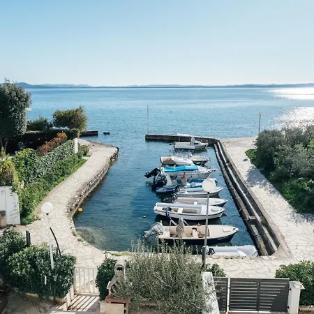 Sollei * ペトルチャネ