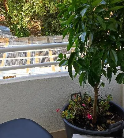 Sollei Apartment