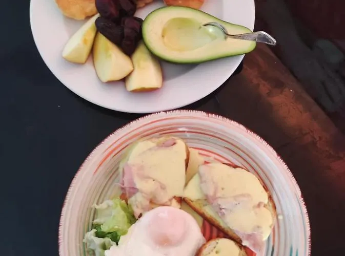 Sollei Apartment Petrčane