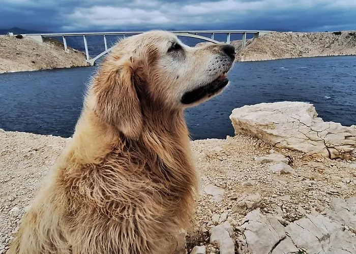 Sollei Апартаменты