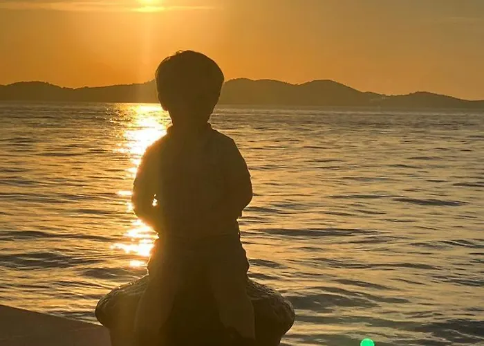 Sollei Петрчане