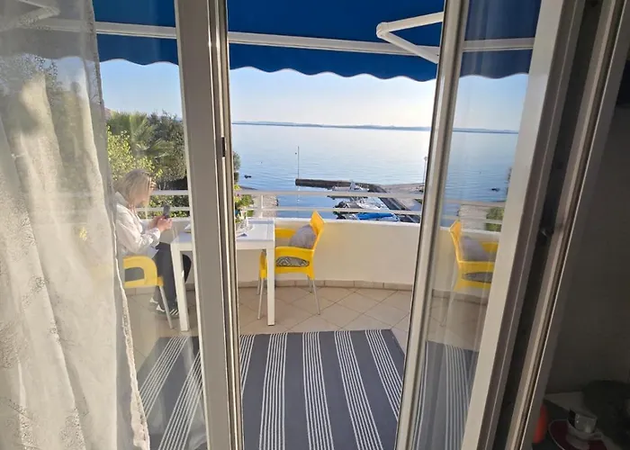 Sollei * Петрчане