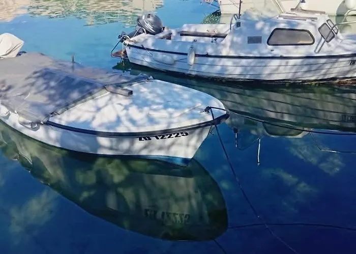 Sollei Петрчане