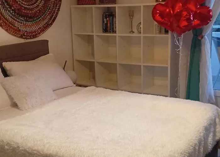 Sollei Петрчане