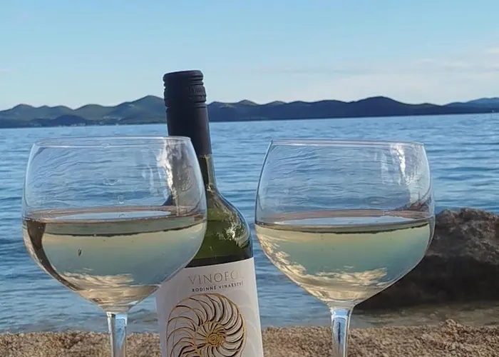 Sollei * Петрчане