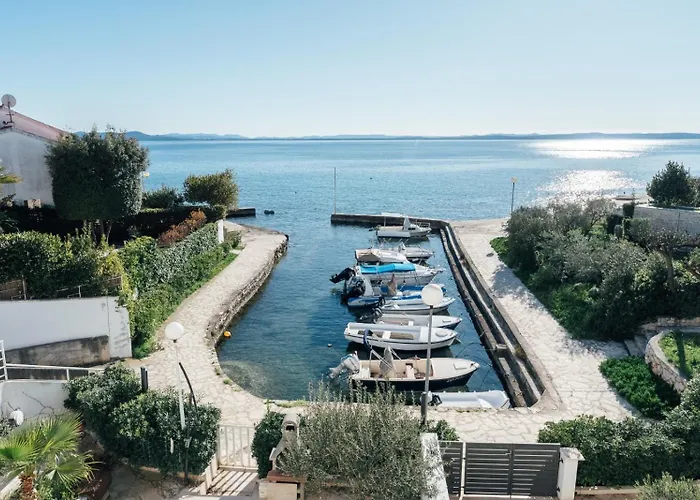 Sollei * Петрчане