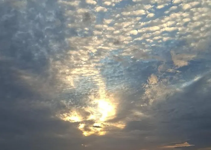 Апартаменты Sollei *